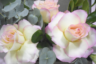 Elegant Bloom Box: Rose with Jewelry Surprise